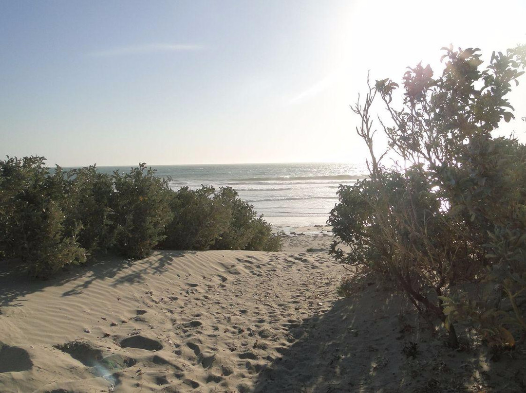 Tarcoola Beach-杰拉尔顿必去景点
