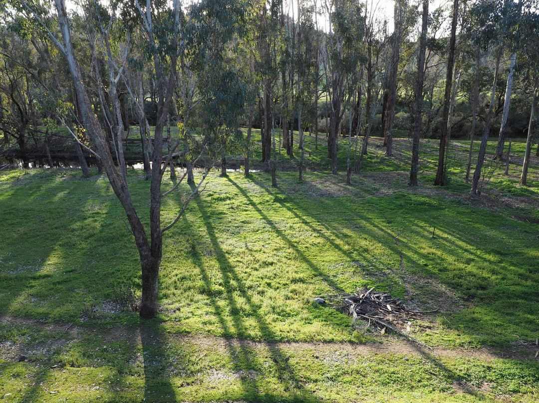 Fern Gulley Retreat主图