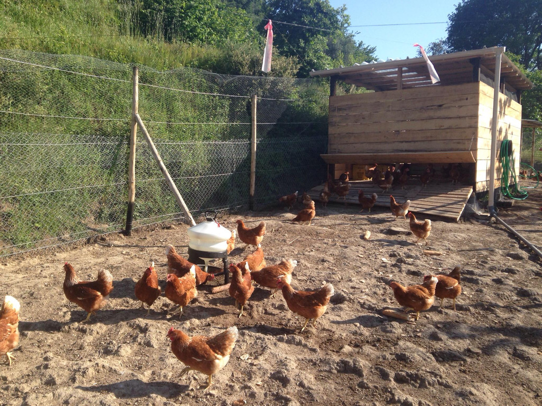 marché fermier chez BRES-Golfe-Juan Vallauris必去景点