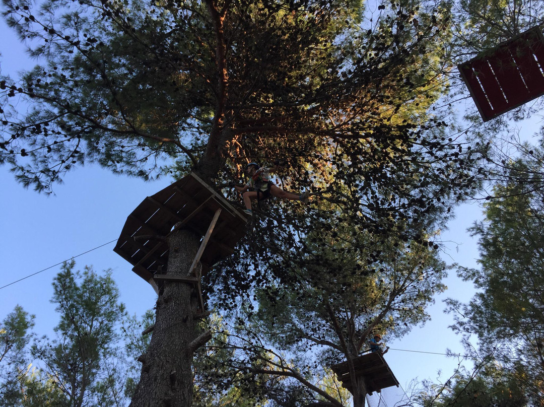 Adventure Park-Kozino必去景点