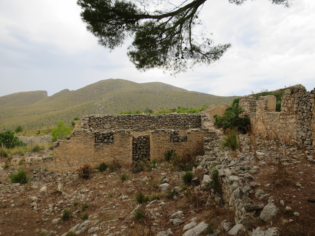 Puig de sa Tudosa-Arta必去景点