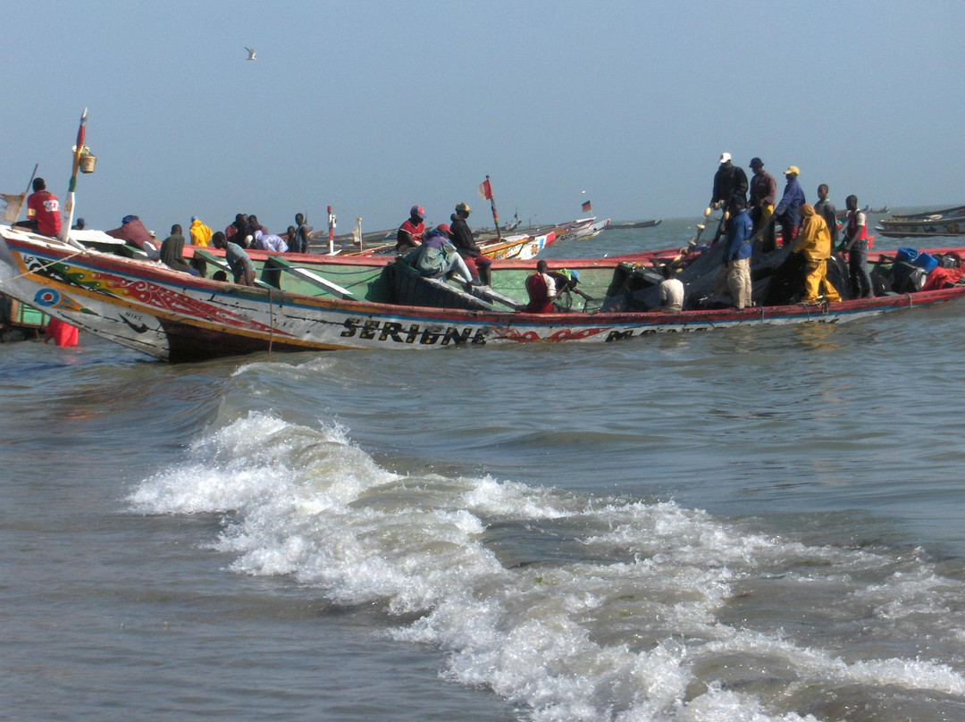 Senegal Loisirs Private Tours景点图片