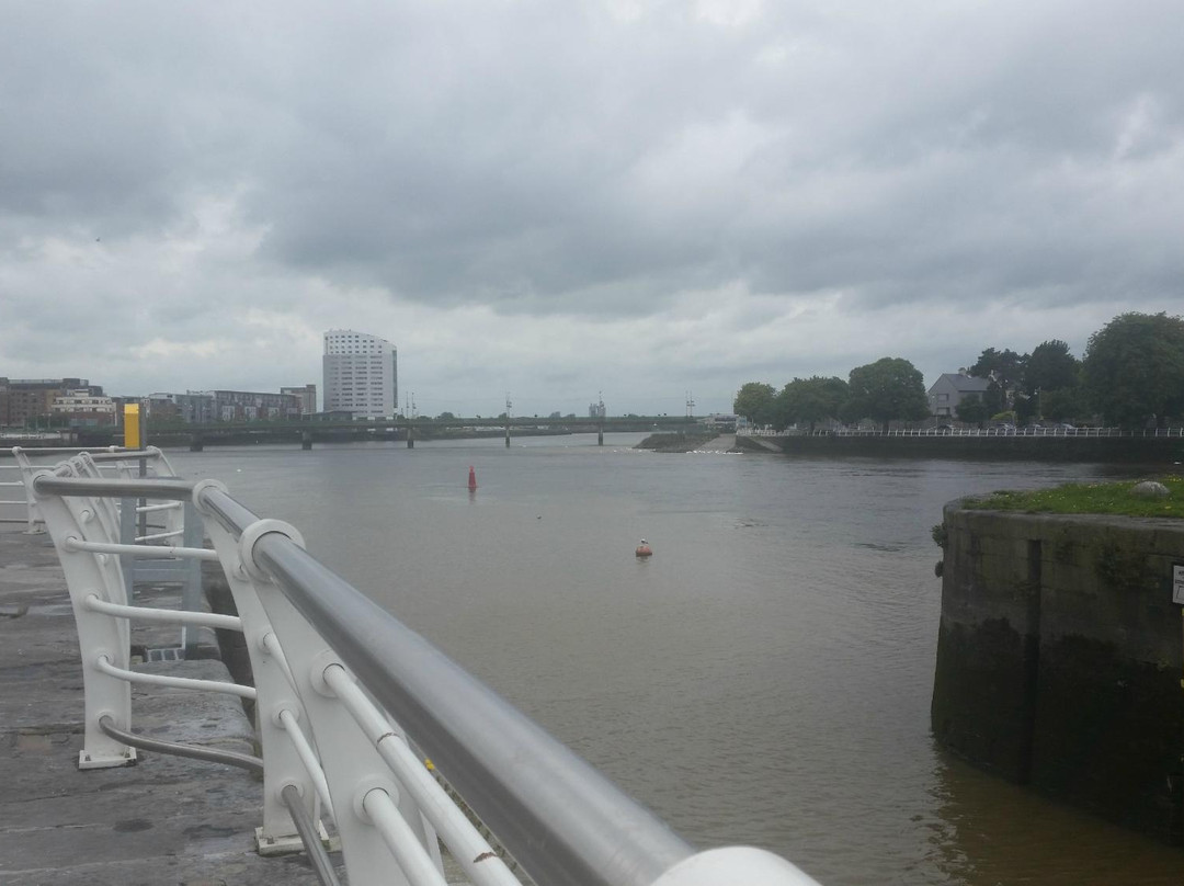 Sarsfield Bridge-利默里克必去景点