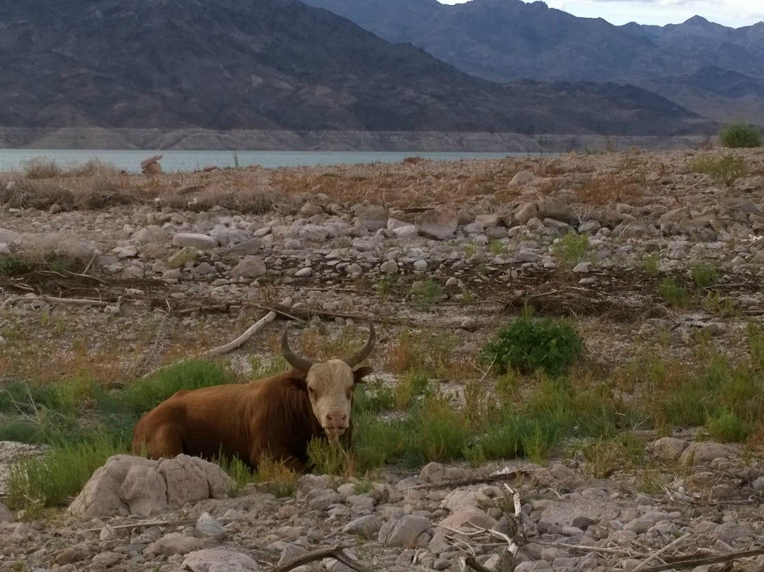 Canyon's End Motel主图