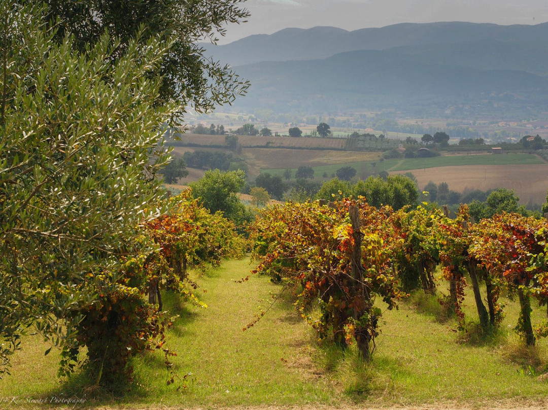 Colle del Saraceno-Montefalco必去景点