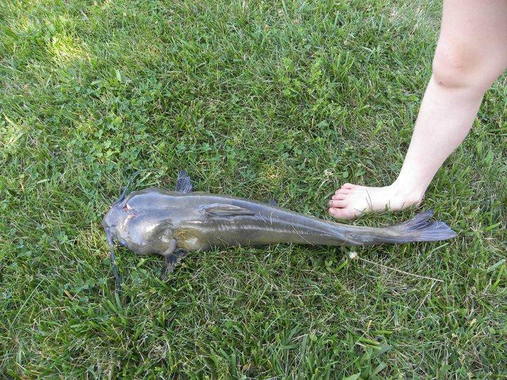 Smithville Lake-Smithville必去景点