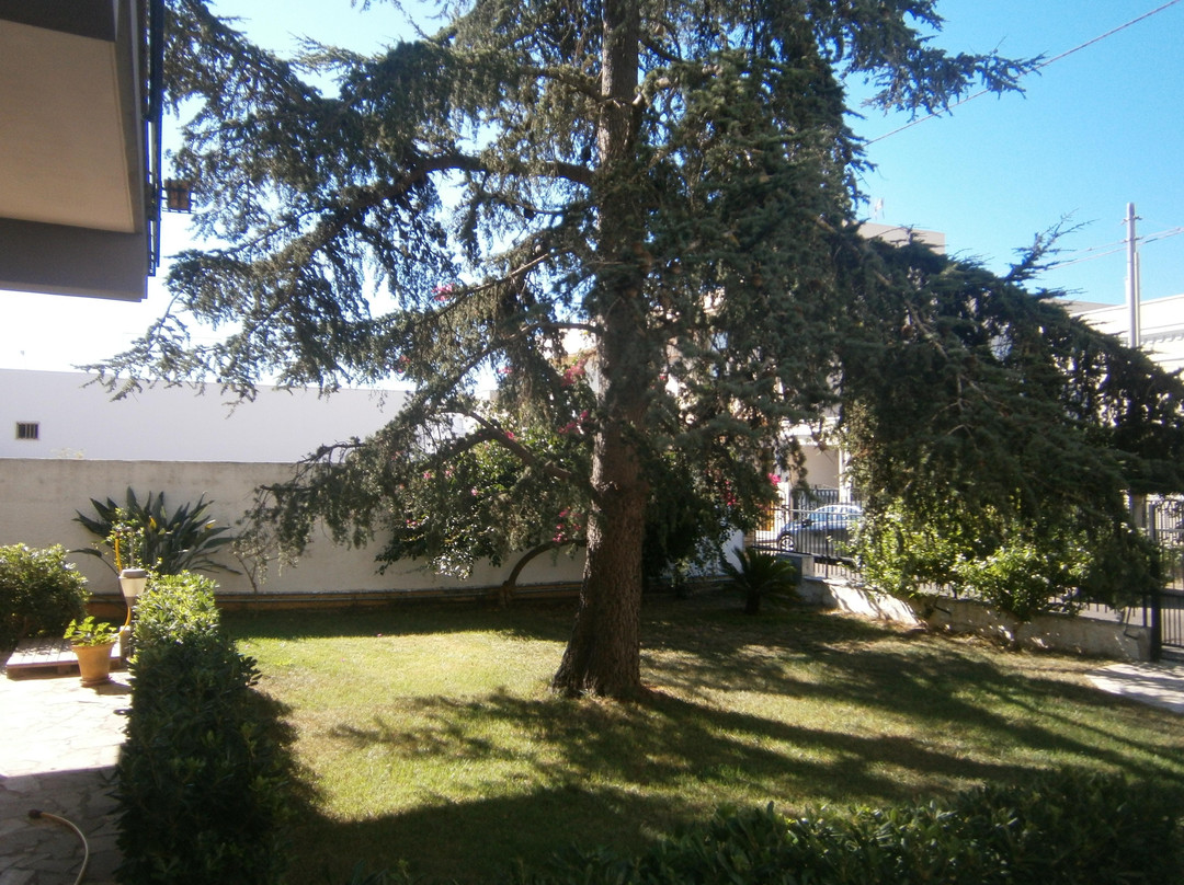 B&B Il Cedro