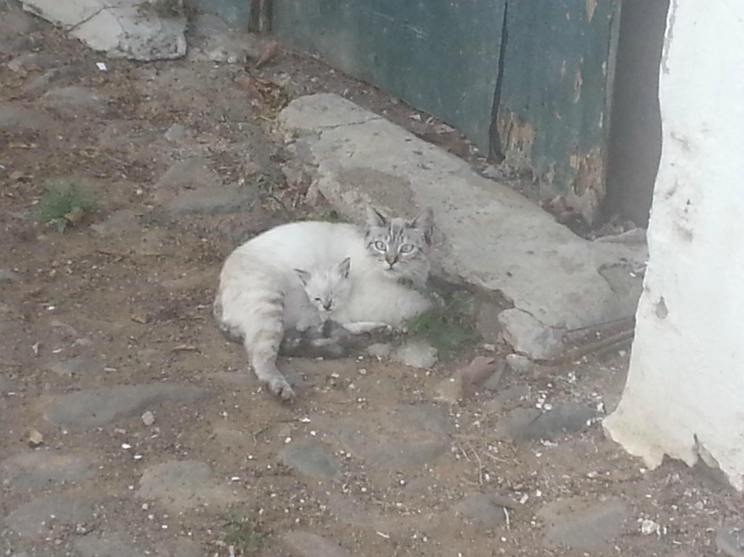 Barrio de San Francisco-大加纳利必去景点