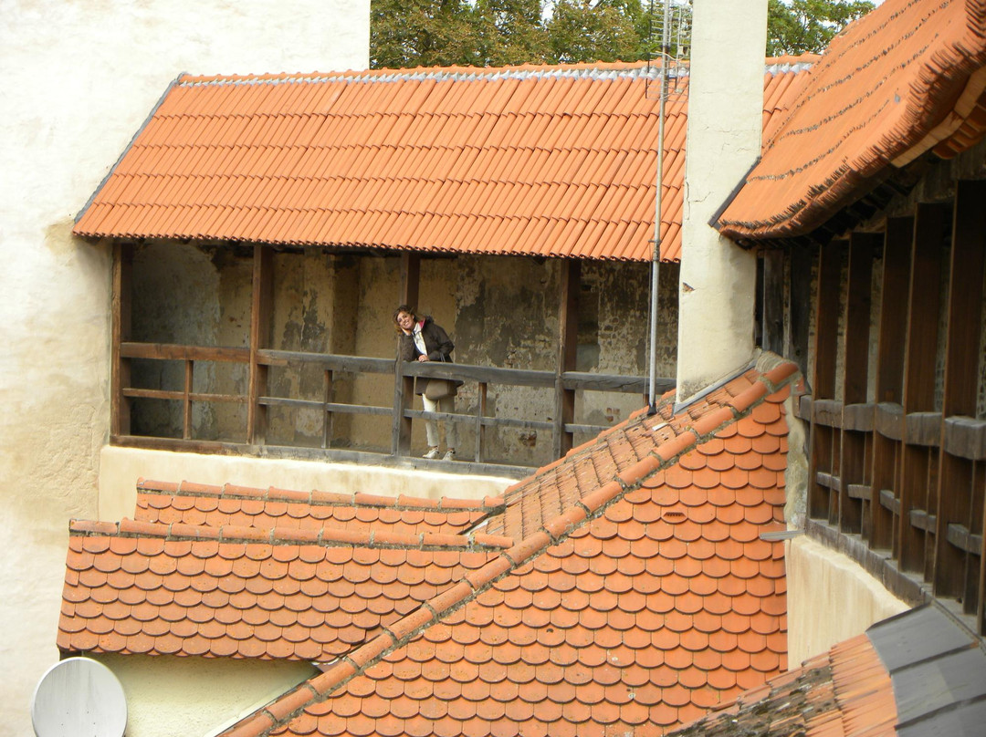 Loepsinger Gate Tower-讷德林根必去景点