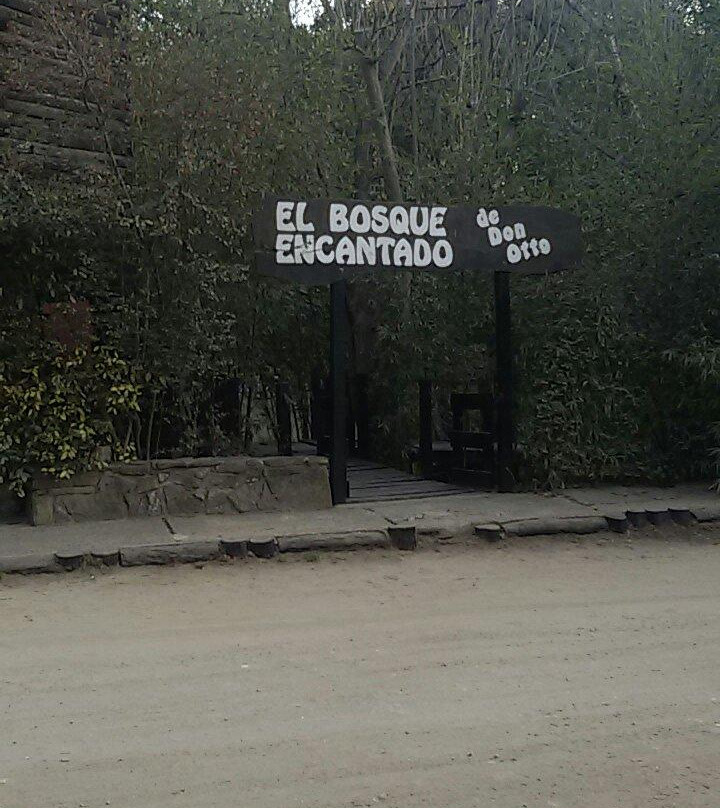 Bosque Encantado de Don Otto景点图片