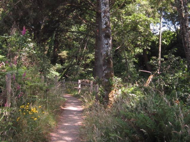 Hammond Trail-McKinleyville必去景点