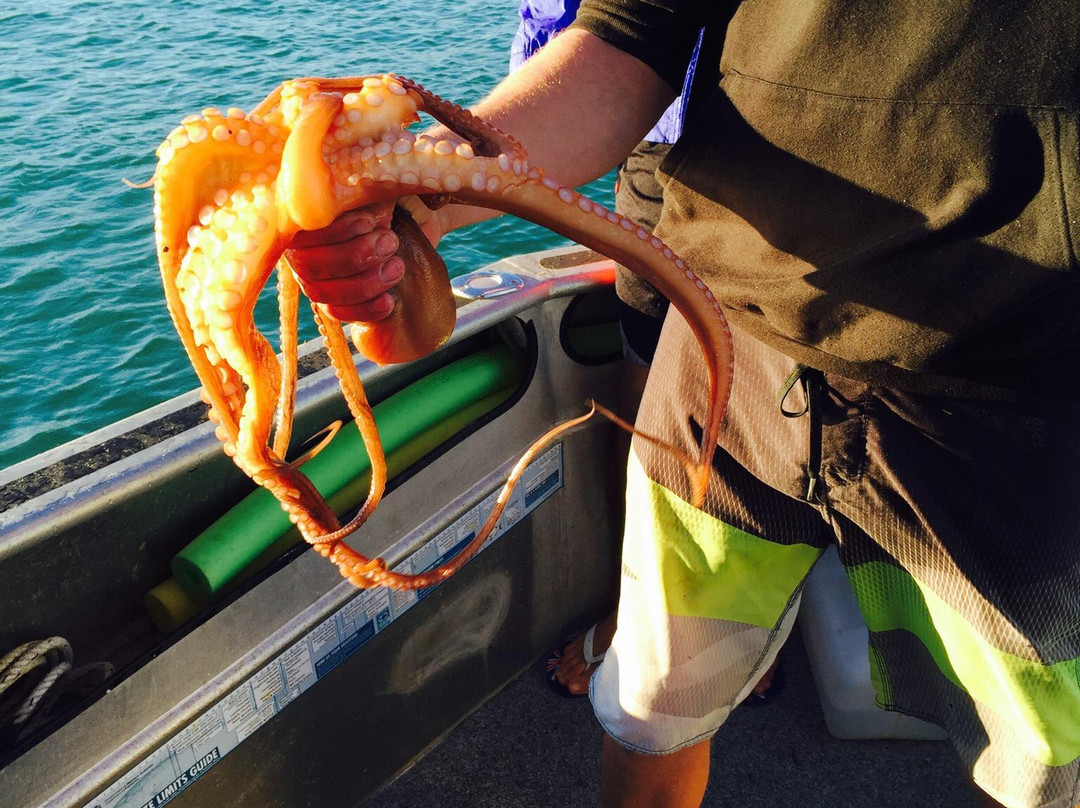 Turquoise Safaris-朱里恩湾必去景点