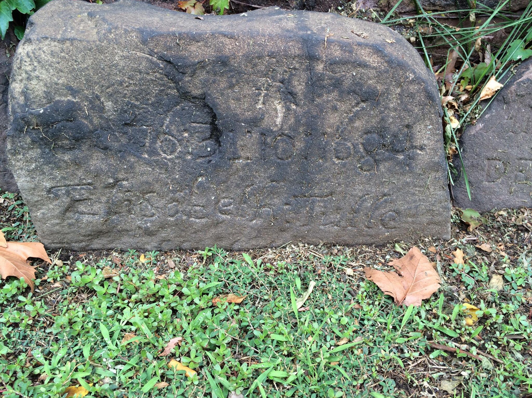 Grove Street Cemetery-纽黑文必去景点