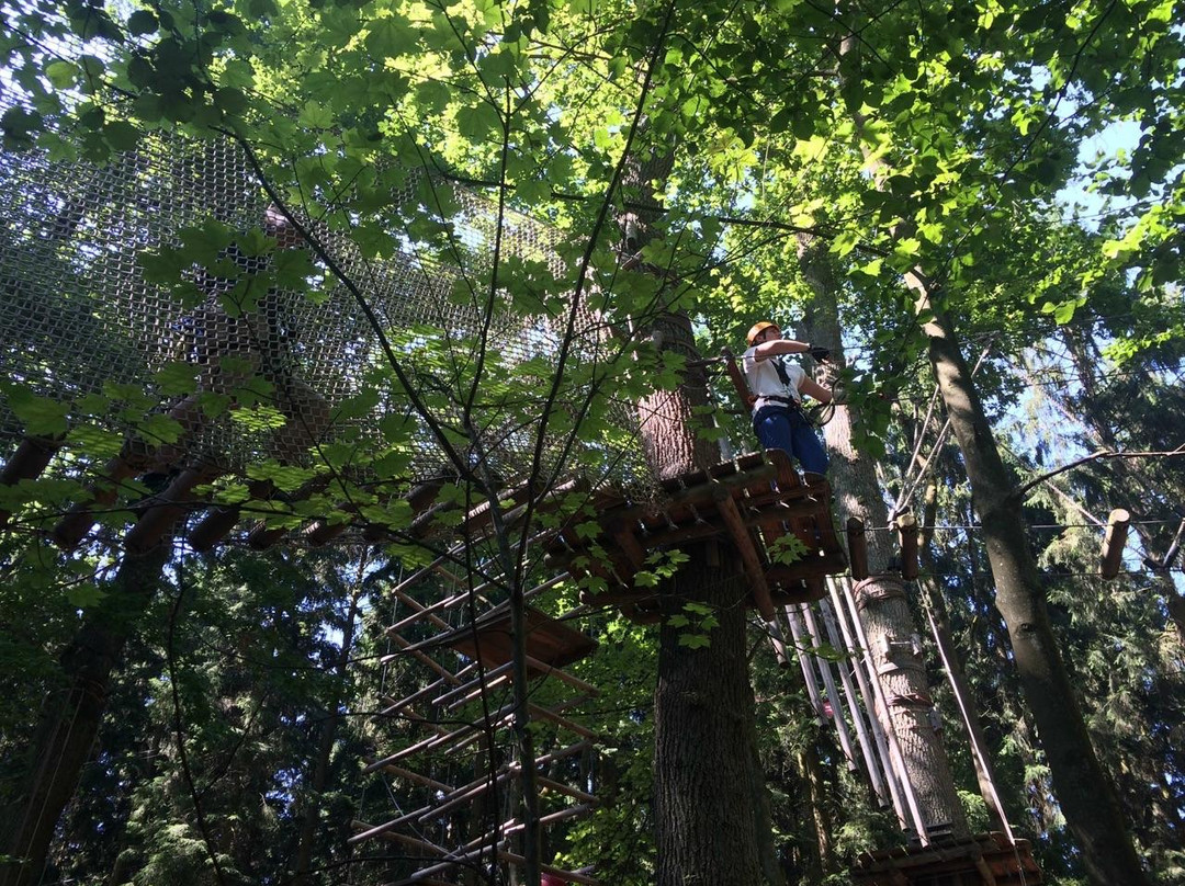 Kletterwald Hennef景点图片