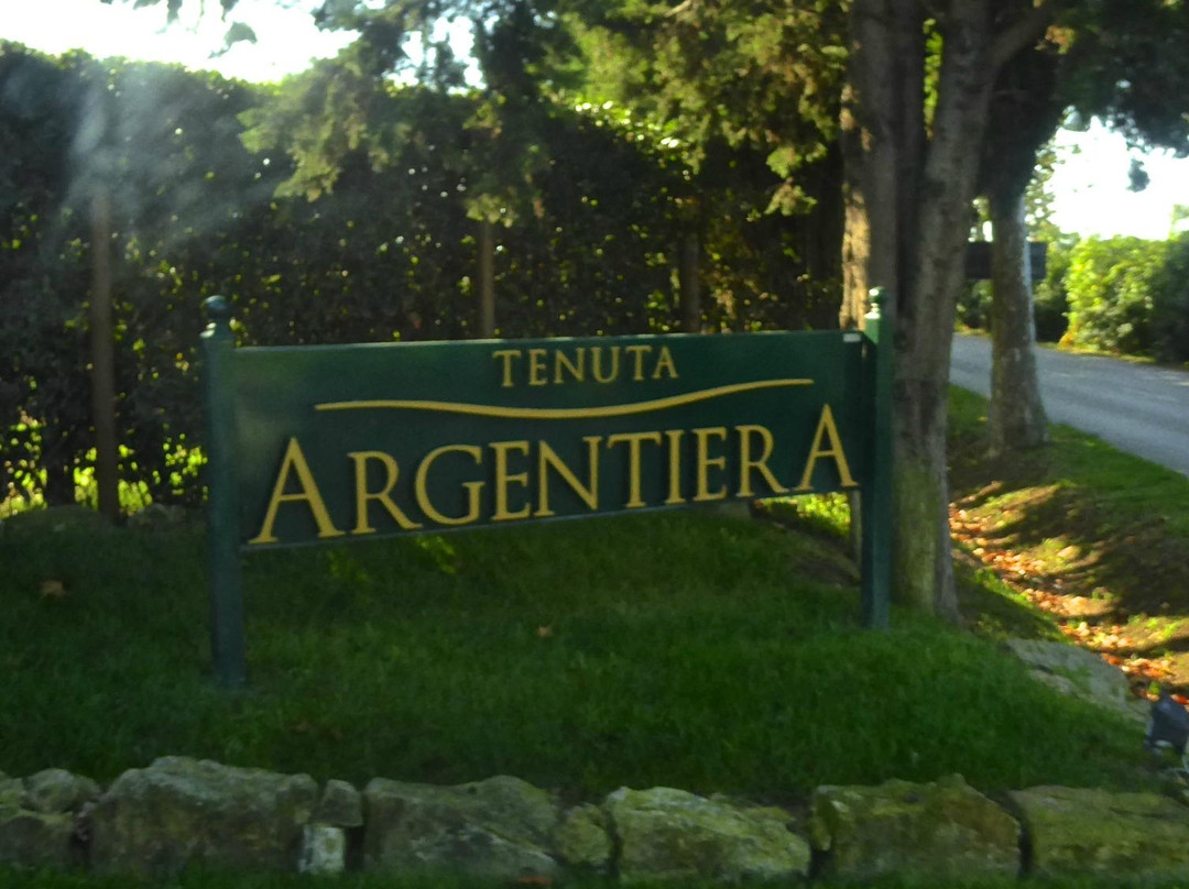 Tenuta Argentiera景点图片