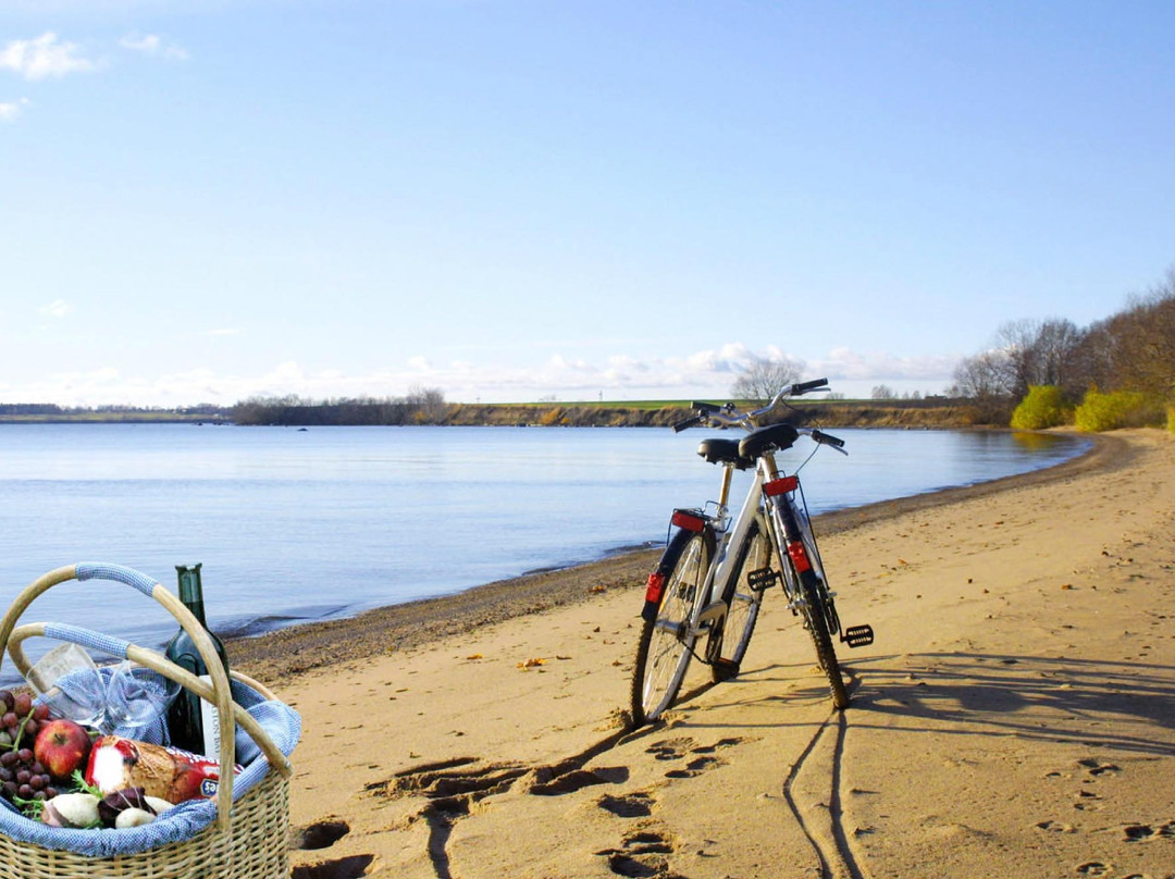 Wisingso Hotel & Konferens主图