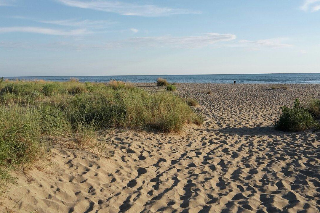Spiaggia della Lecciona景点图片