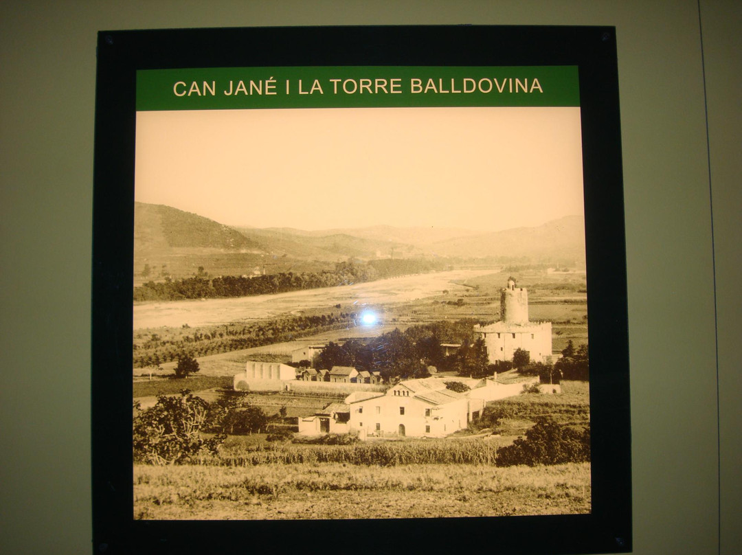 Museo Torre Balldovina景点图片