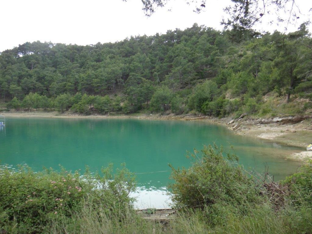 Green Lake景点图片
