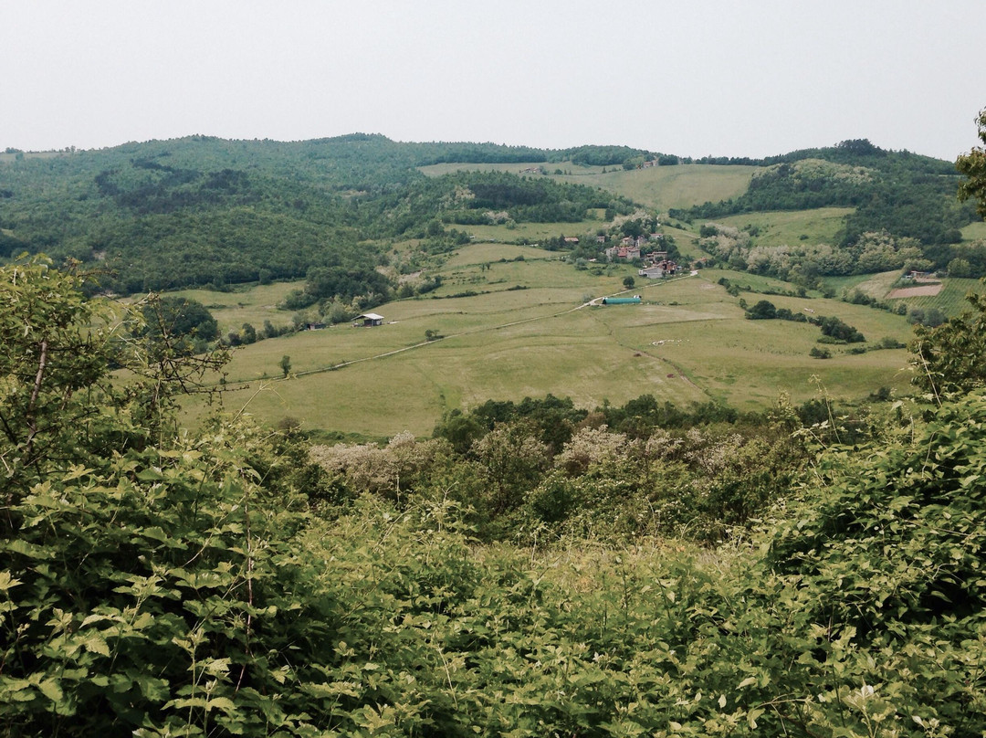 Azienda Agricola Biologica Il Cardo景点图片