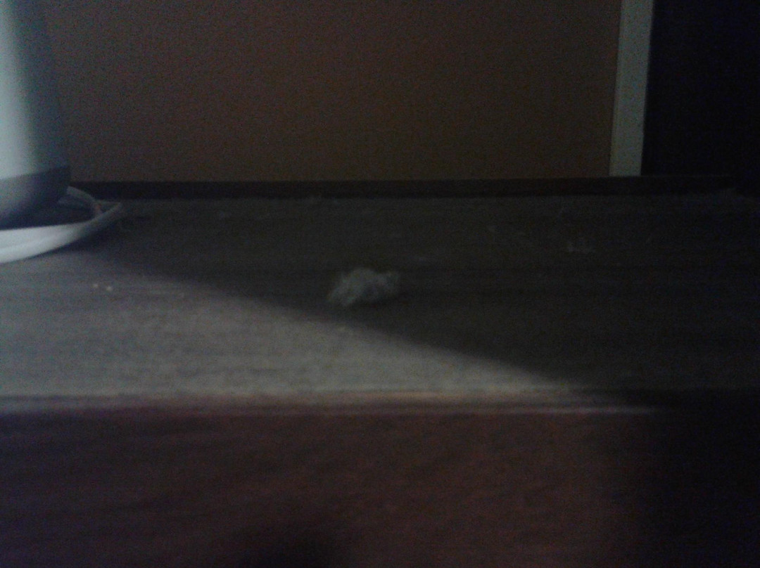 本加玛斯普雷斯酒店主图