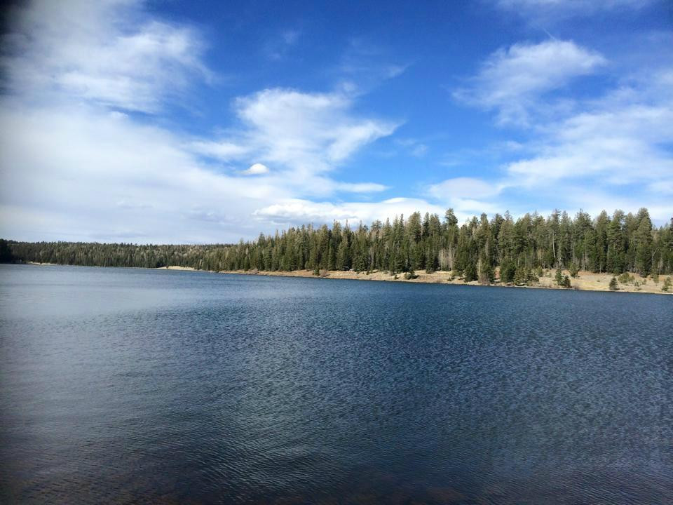 Apache-Sitgreaves National Forest-Springerville必去景点