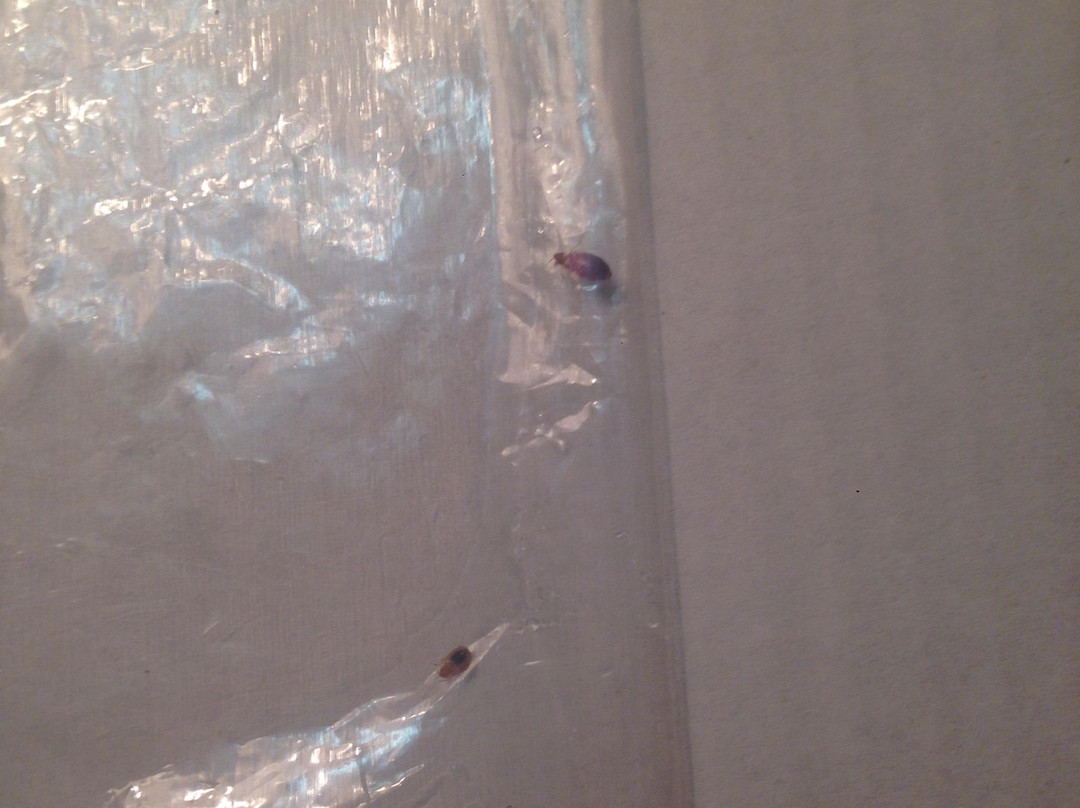 Kikiwak Inn Hotel and Conference Centre主图