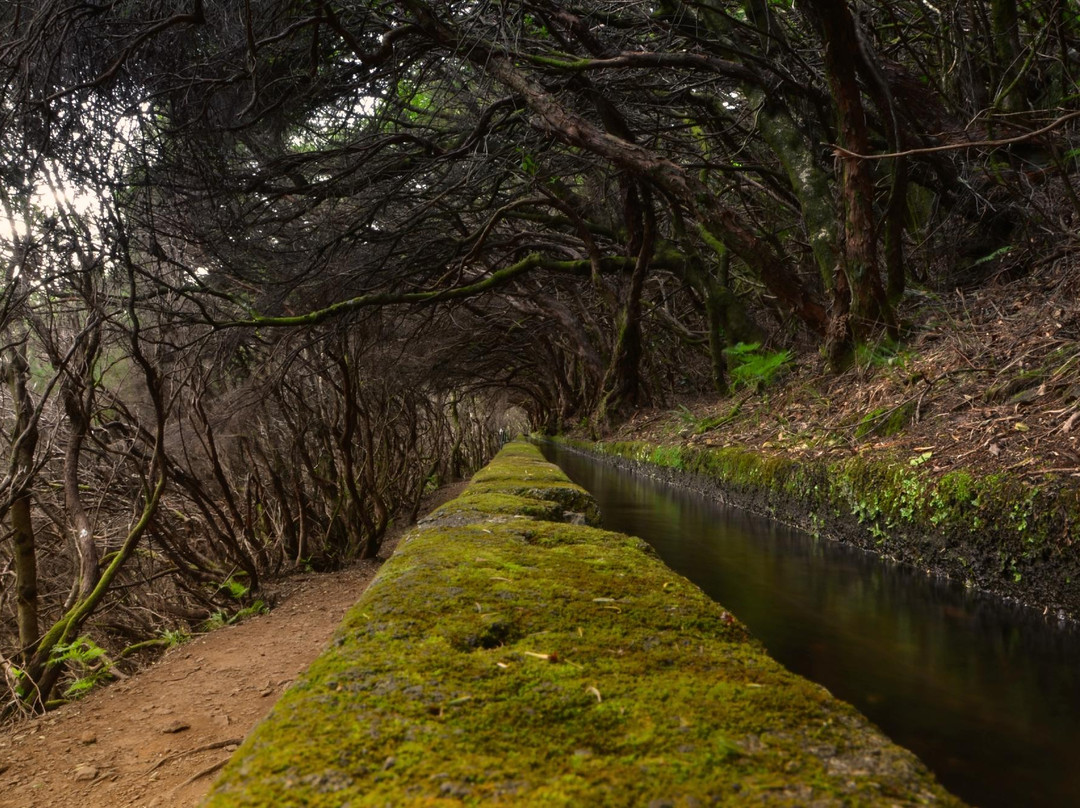 Nature Meetings-沙尔必去景点
