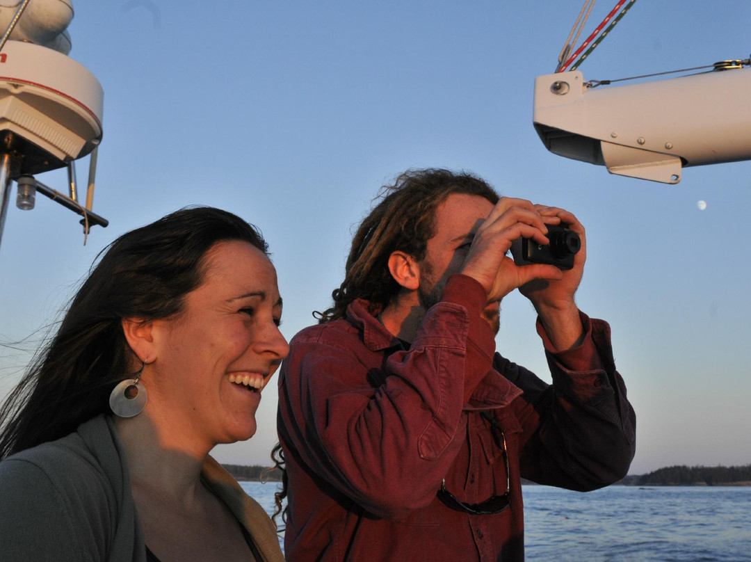 Blue Yonder Sail Charters - Day Tours景点图片