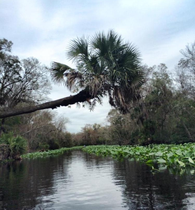 Wekiva Island-Longwood必去景点