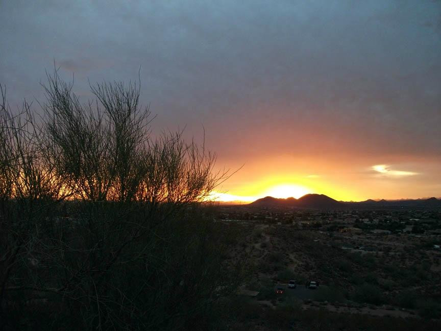 Thunderbird Conservation Park-格兰岱尔必去景点