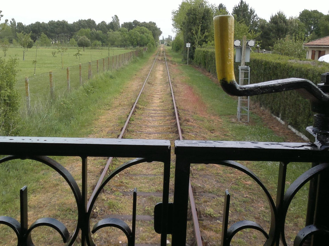 Le Train Des Mouettes景点图片