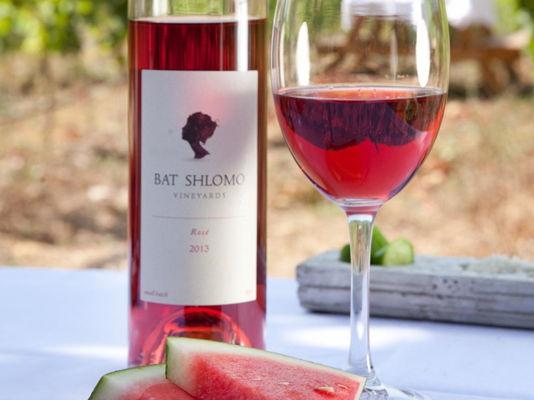 Bat Shlomo Vineyards景点图片