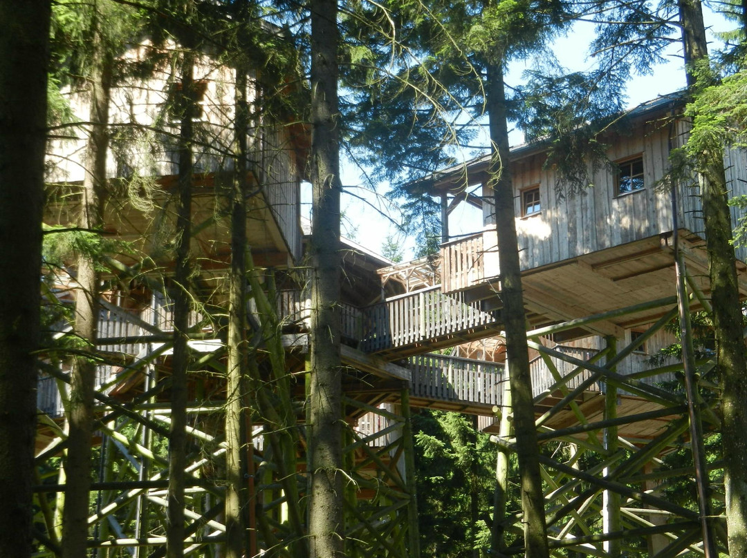 Baumhotel Kopfing