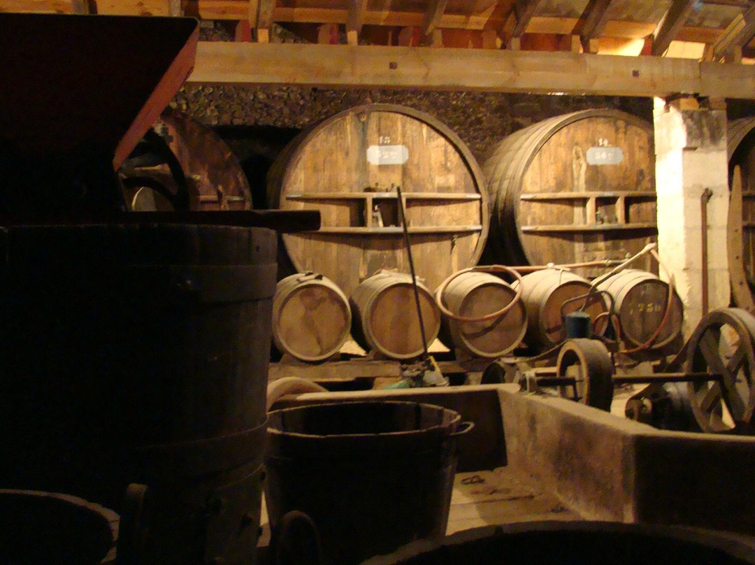 Château Nodot景点图片