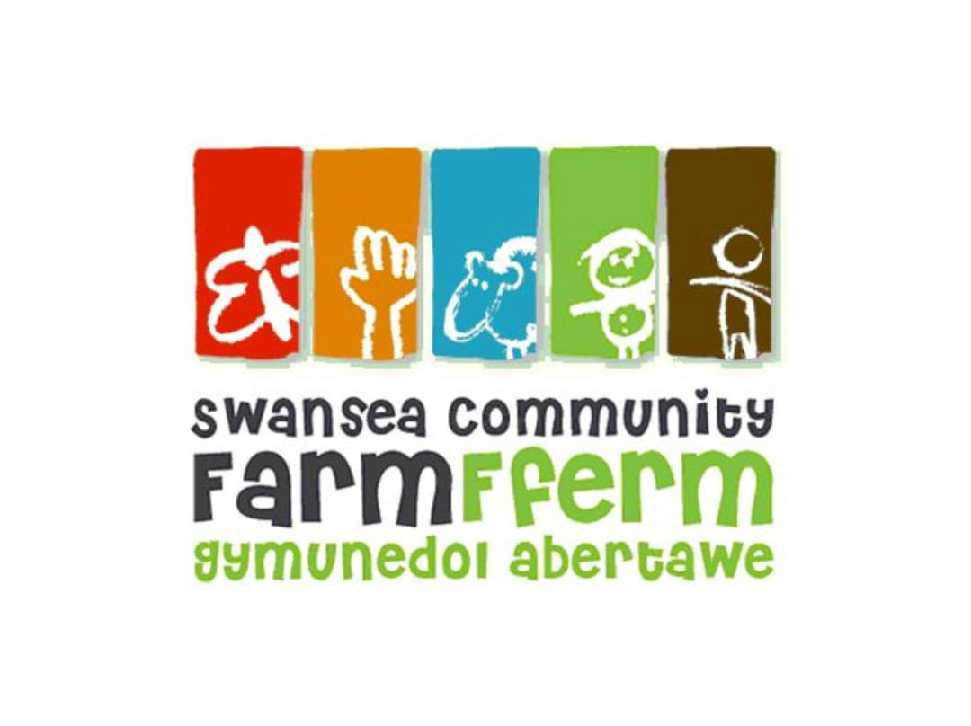 Swansea Community Farm景点图片