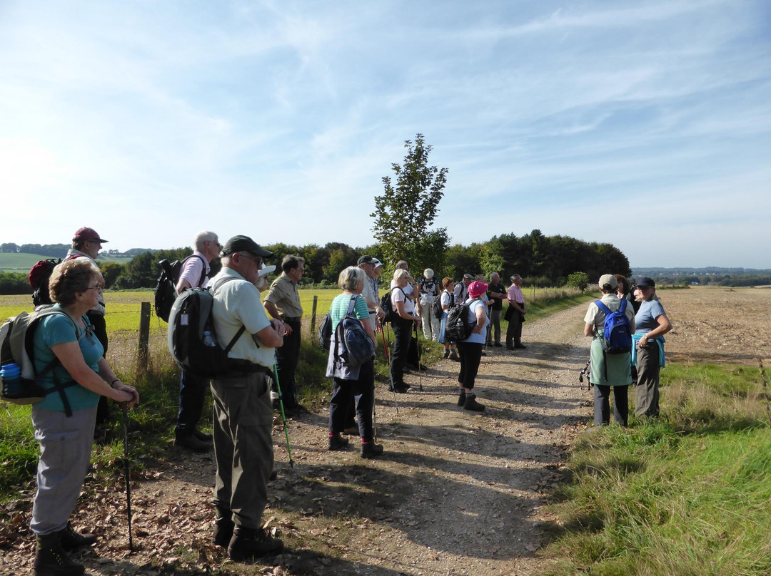 Fuzzacker Guided Walks and Tours-利明顿必去景点