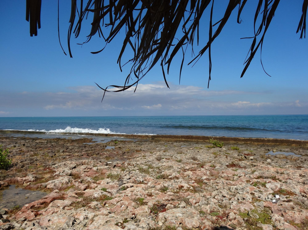 Playa Baracoa旅游攻略图片