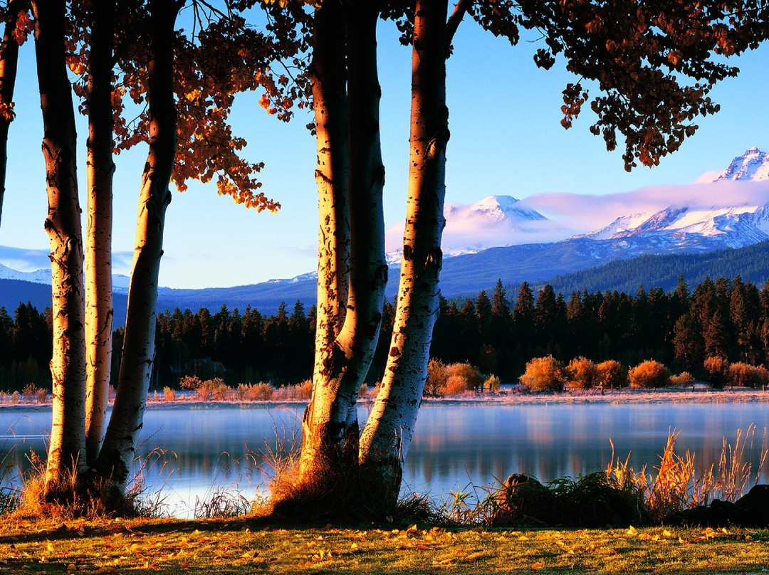 Black Butte Ranch Golf Club - Big Meadow & Glaze Meadow Golf Courses-Sisters必去景点