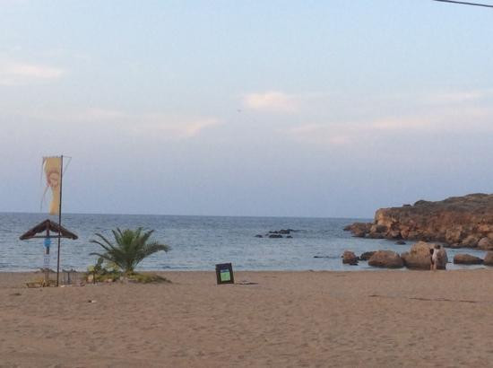 Iguana Beach景点图片