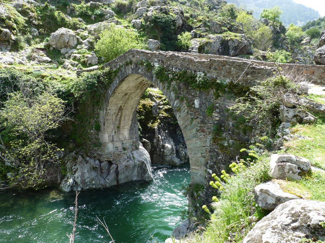 Gorges de l'Asco景点图片