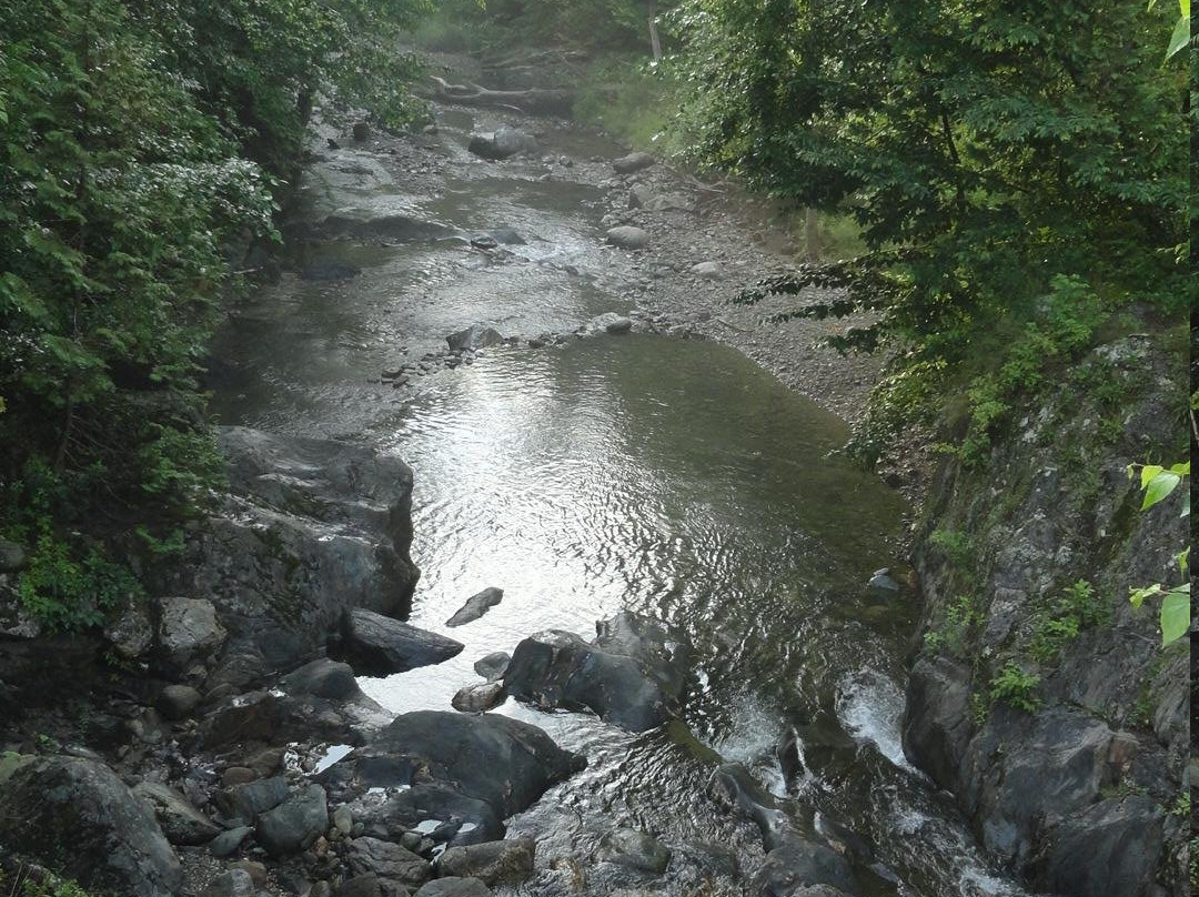 Gold Brook Covered Bridge (Emily's Covered Bridge)-斯托必去景点