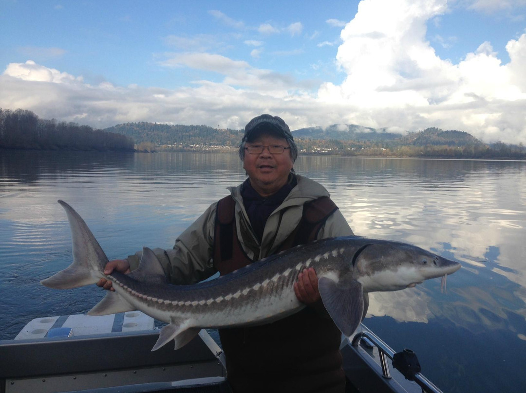 Mission Bridge Guiding Adventures-米逊必去景点