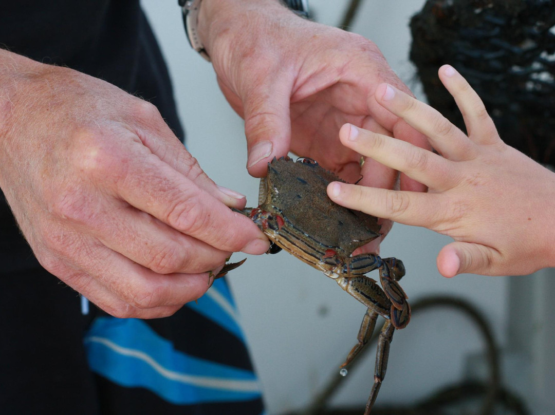 OceanBlue Quay-文特诺必去景点