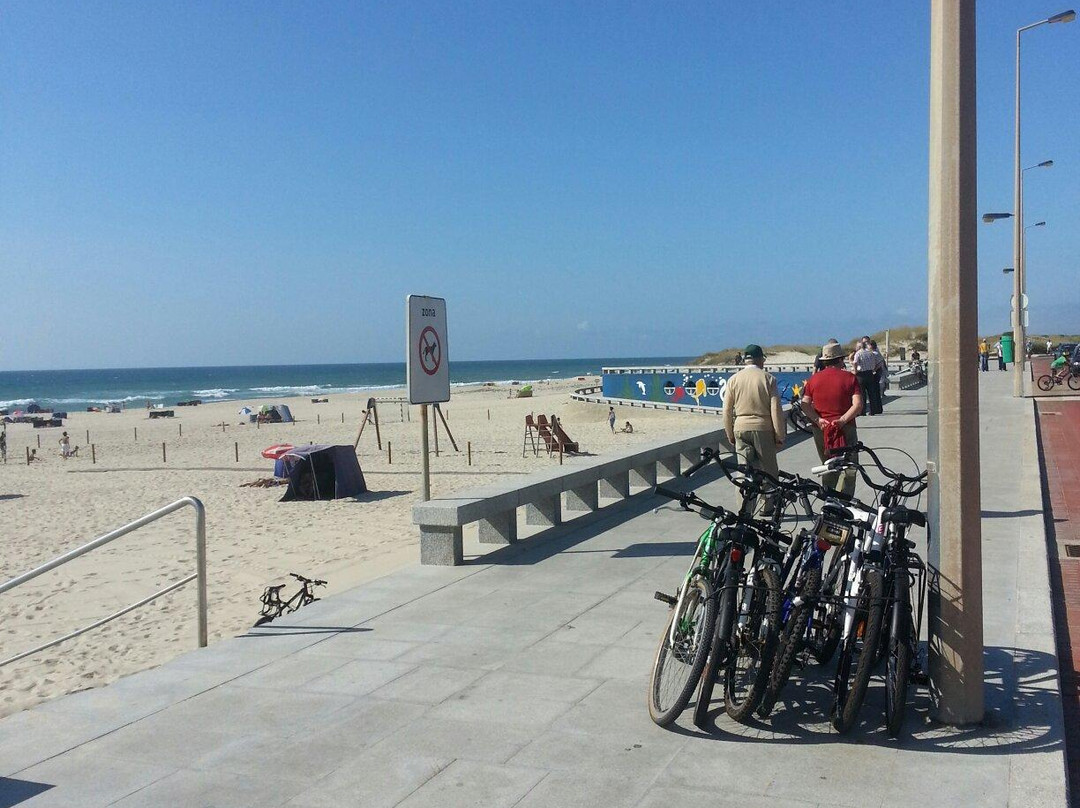 Praia da Torreira景点图片