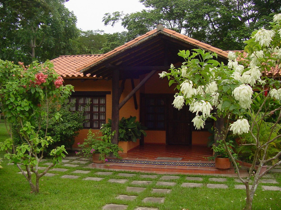 Hato Cristero