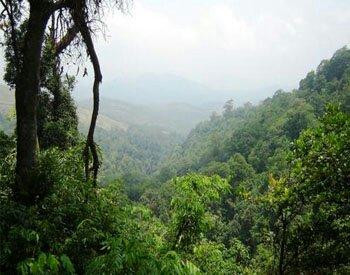 Malom - "The coorg of Kerala"景点图片