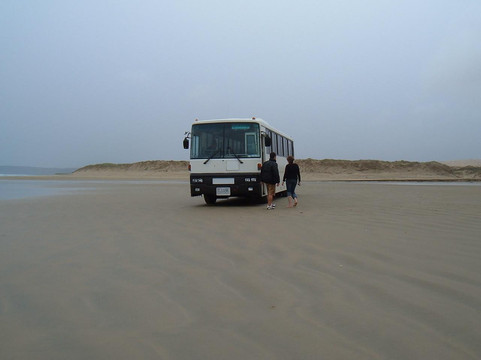 Sand Safaris Cape Reinga 90 Mile Beach Tours-凯塔亚必去景点