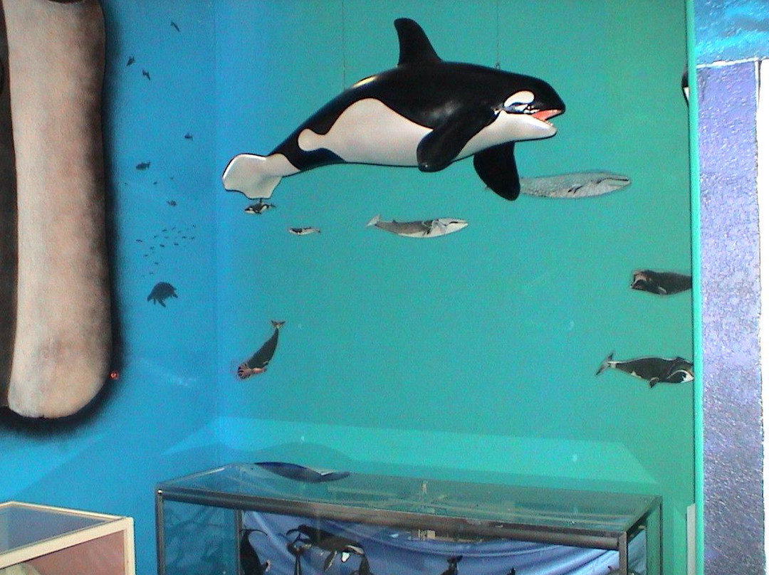 Whale, Sea Life and Shark Museum-Depoe Bay必去景点