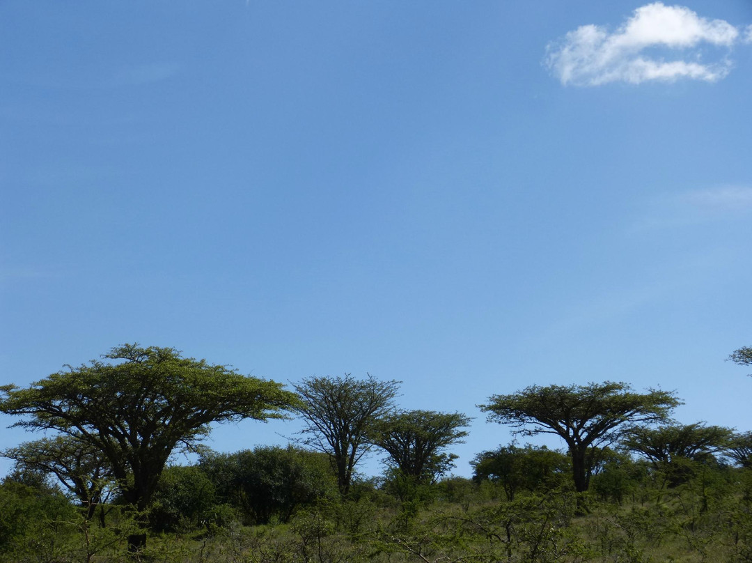 Maanzoni Sanctuary-Machakos必去景点